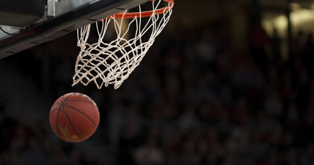 nba tipsters 2025 - Tipster News
