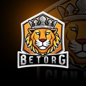 Betorg Telegram Review – “Fixed Matches” Football Channel 2026